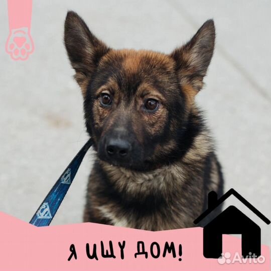 Маленькая Прима