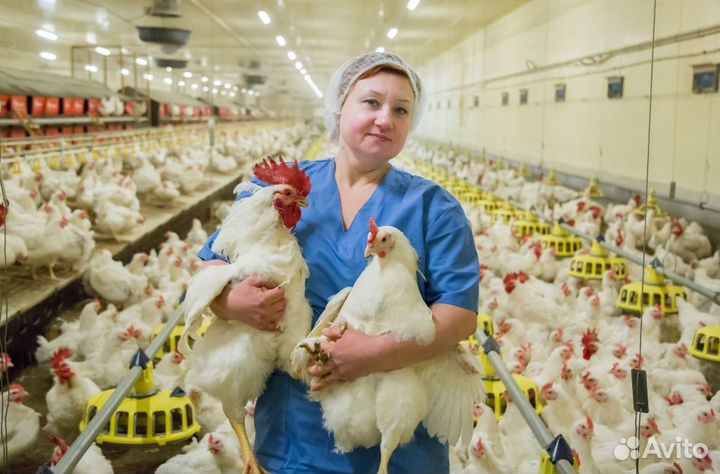 Разнорабочие на птицефабрику/Вахта/Москва,мо