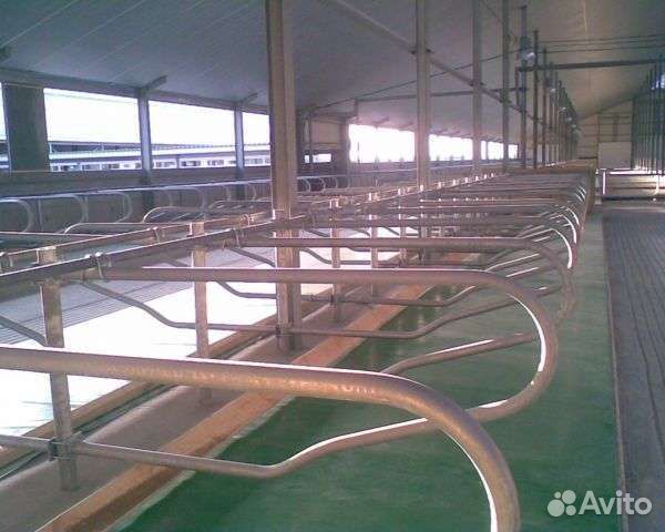 Стойловое оборудование для крс