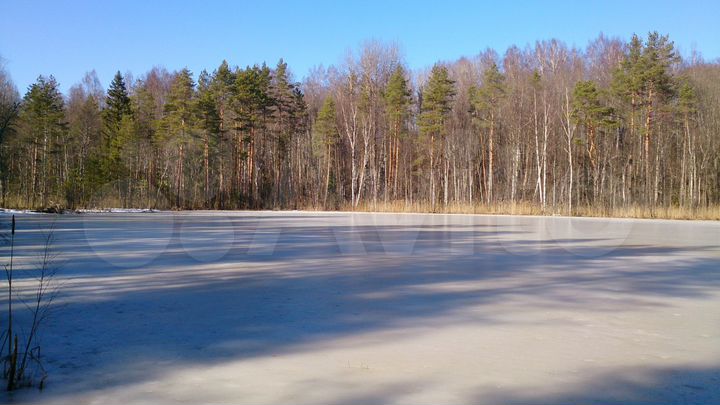 Участок 5,64 га (СНТ, ДНП)