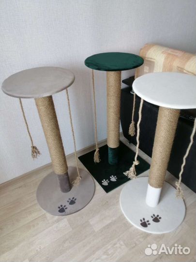 Когтеточка