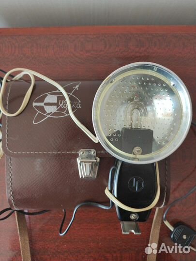 Фотовспышка чайка