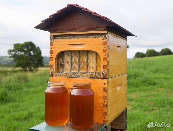 Пчелиные ульи