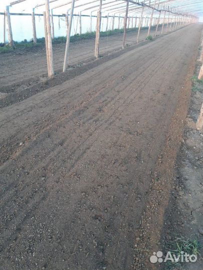 Услуги минитрактора