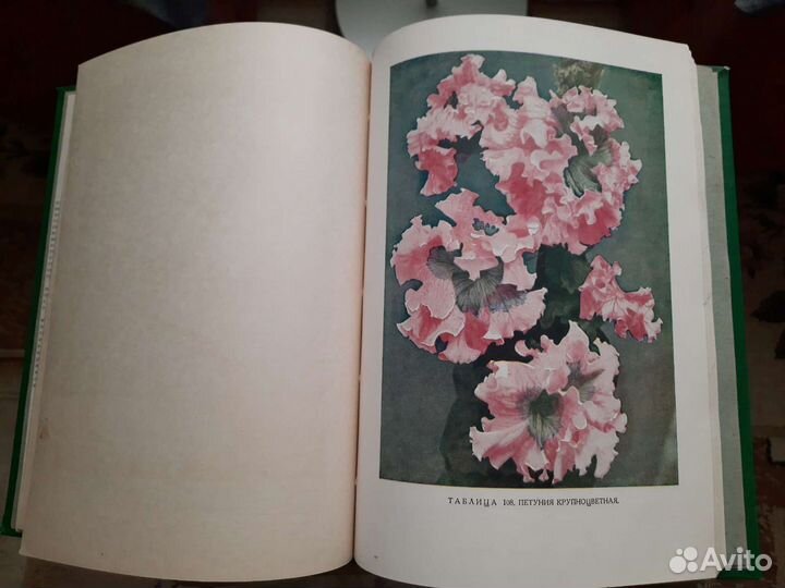 Атлас цветов