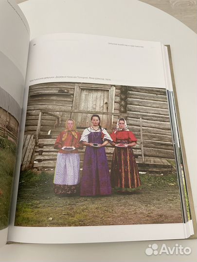 Цветная Империя. Россия до потрясений