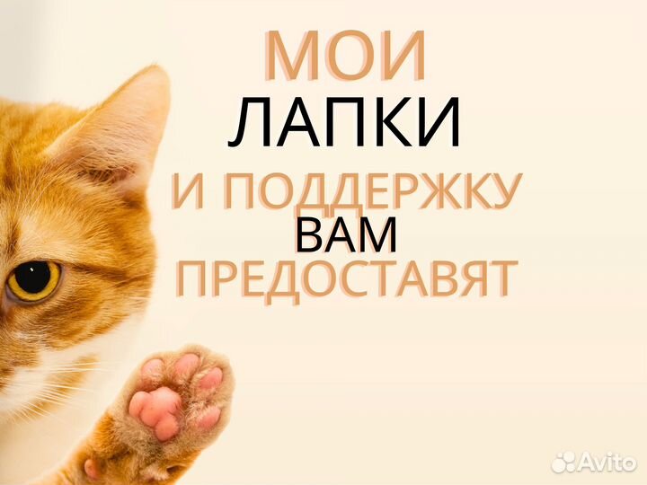 IOS Программы/Редакторы/Игры (App Store)