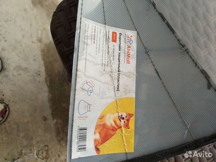 Защитный воротник для собак