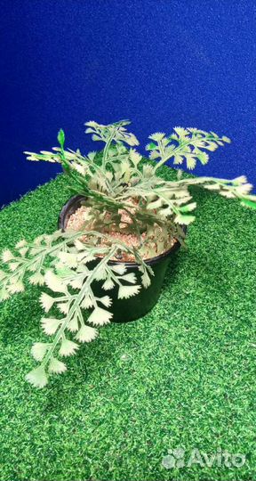 Искусственные цветы в горшках травка