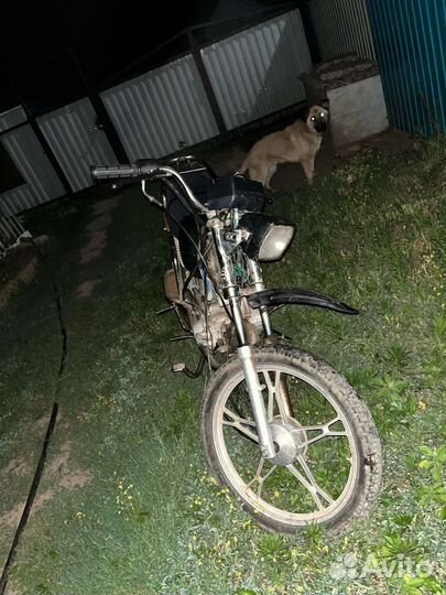 Мопед альфа 80 кубов
