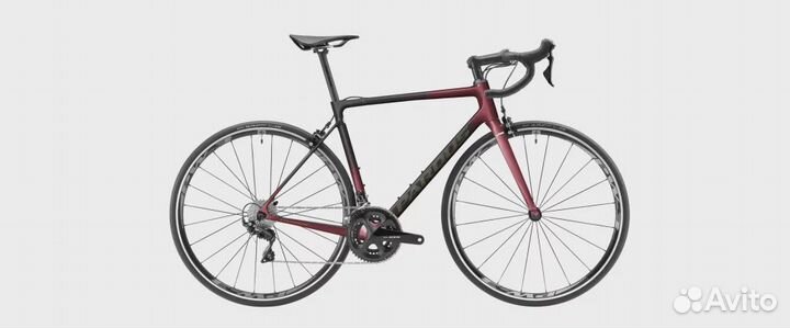 Pardus Robin EVO Rim Shimano 105