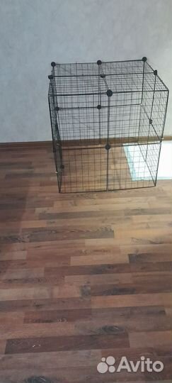 Отдам бесплатно