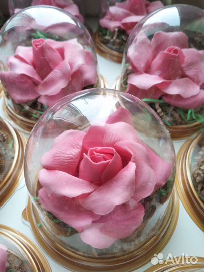 Роза(мыльная) в куполе