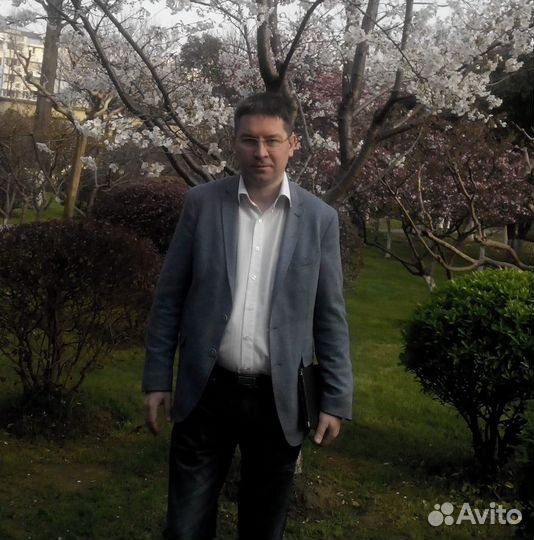 Репетитор по информатике/программированию (дист.)