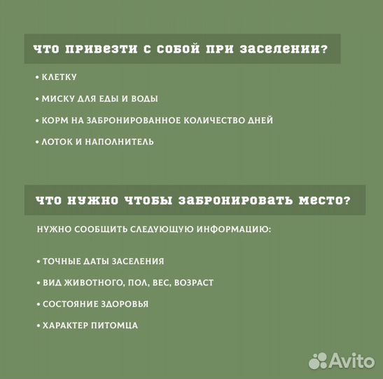 Передержка грызунов