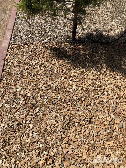 Кора лиственницы