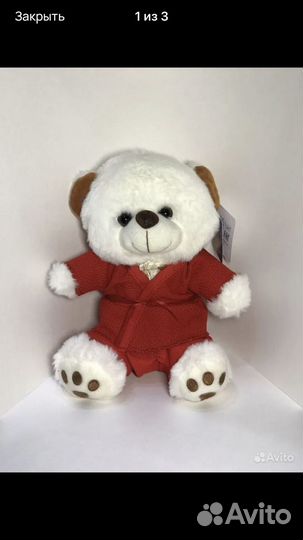 Медведь в куртке самбо