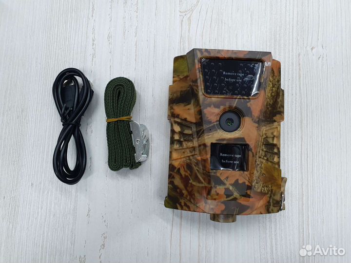 Новая фотоловушка Филин