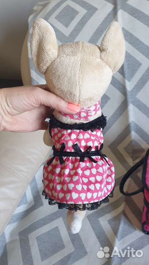 Собачка с сумочкой Chi-chi love