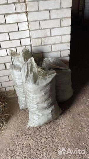Перегной в мешках конский