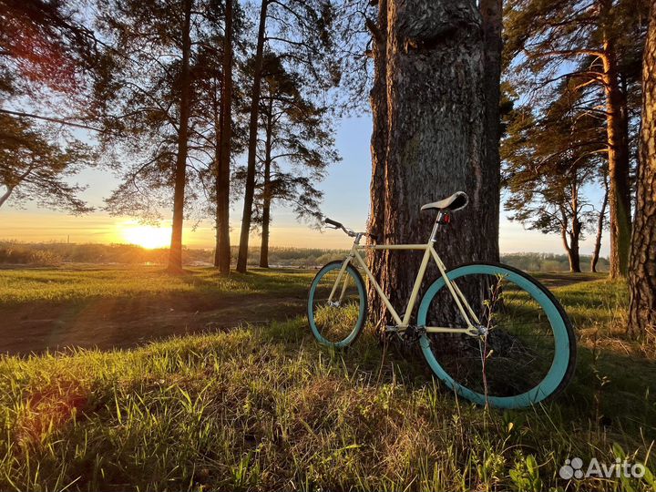 Велосипед Pure Fix Cycles The X-Ray