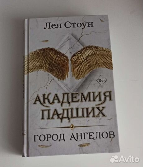 Академия падших. Город ангелов