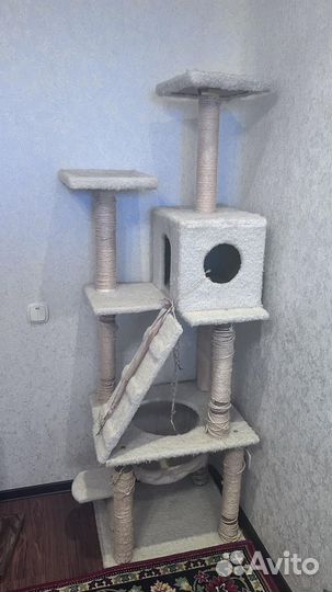 Шикарная когтеточка для шикарного котика