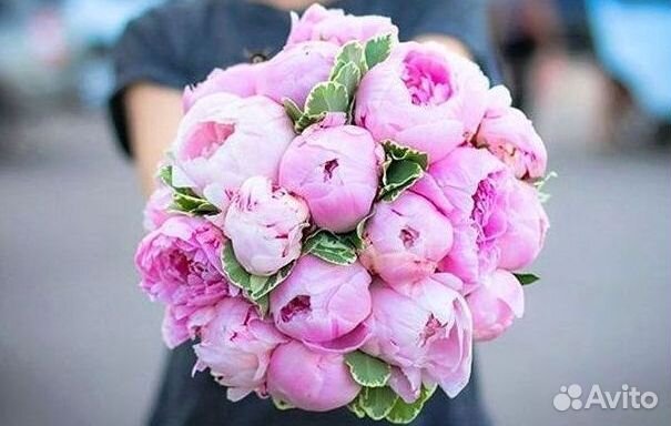 Пионы Букет пионов Доставка цветов