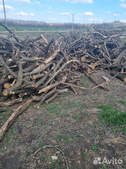 Продаю дрова