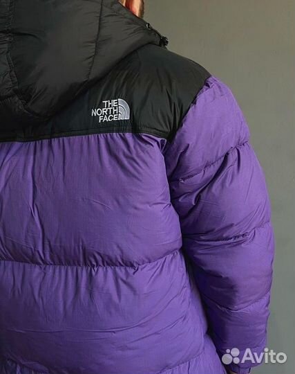 Куртка мужская The North Face фиолетовая