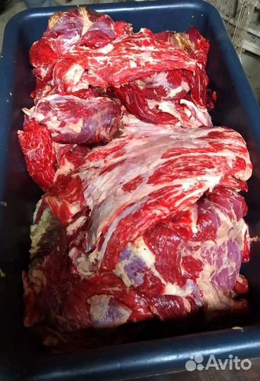 Мясо говядина для собак