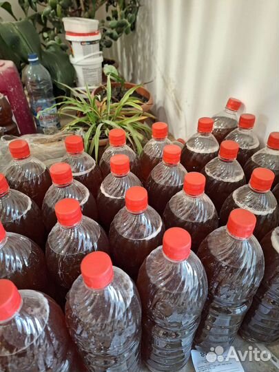 Мед разнотравие