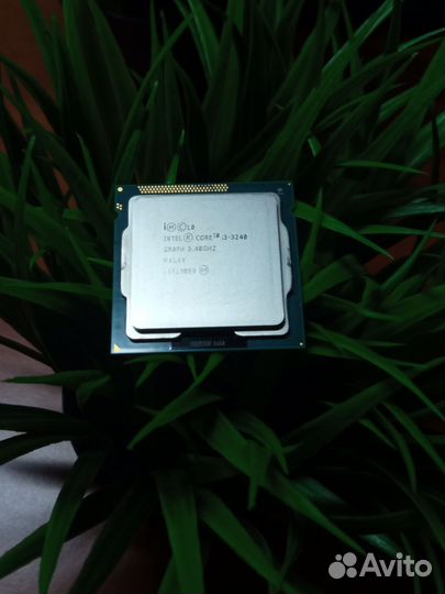 Процессор и видеокарта