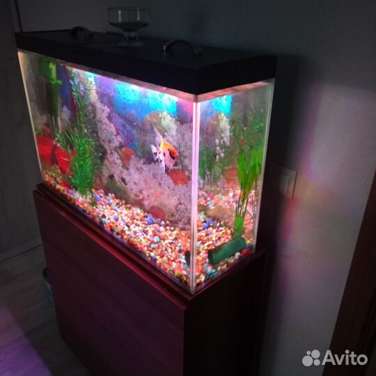 Аквариум 100л