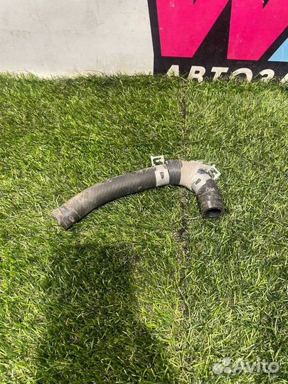 Патрубок охлаждения Lexus NX рест. 2020