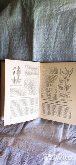 Справочник и учебник по заболеванию растений