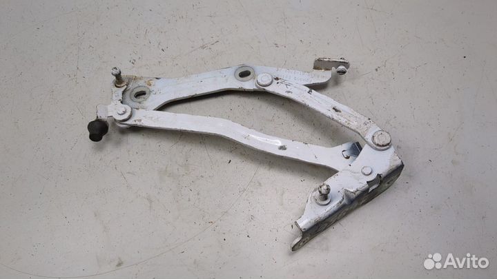 Петля капота Ford Mustang 2017, 2021