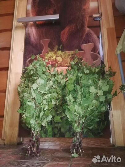 Березовые веники продам