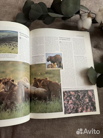 Секреты природы книга