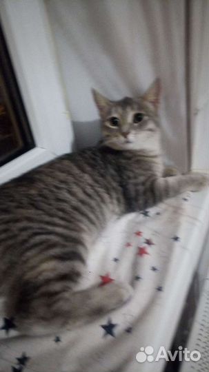 Малышка Тоня