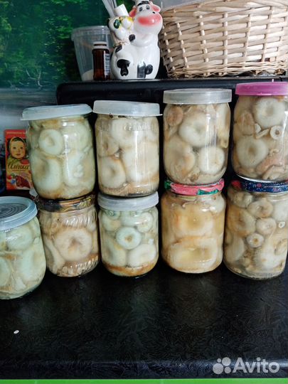 Грибы грузди соленые