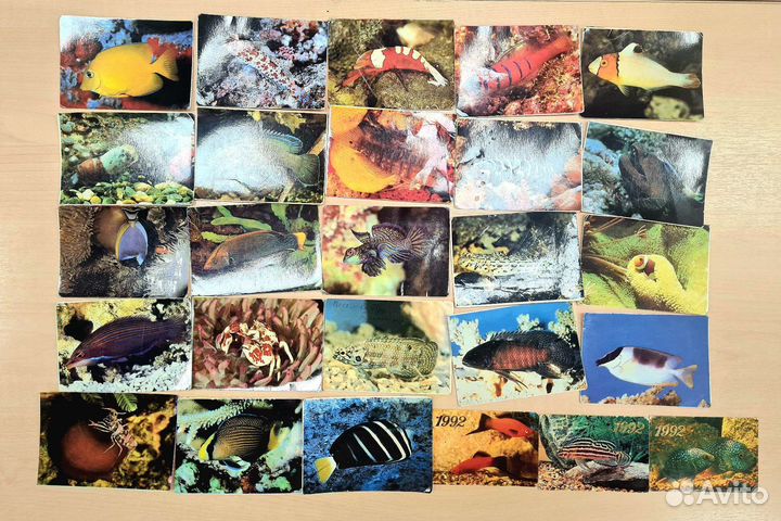 Карманные календарики, пакет 272 шт