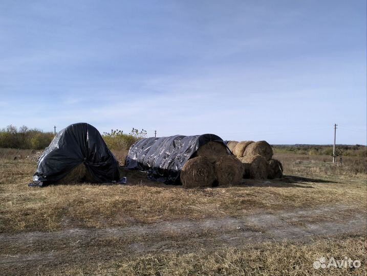 Овцеферма действующая