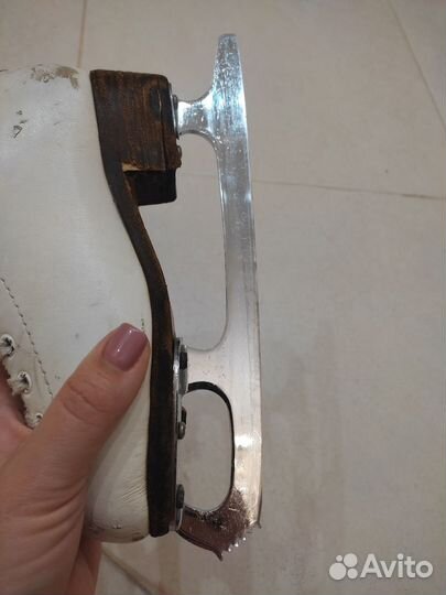 Коньки фигурные Wifa