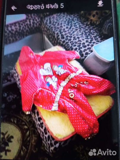 Комбинезон для маленькой собаки девочки