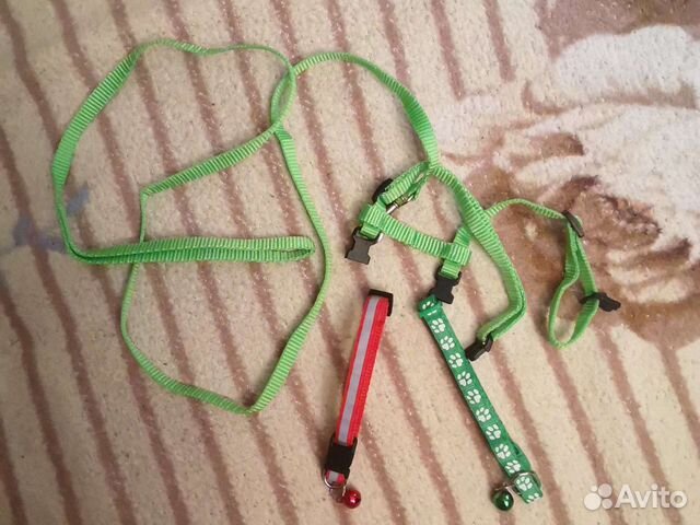 Поводок и ошейники