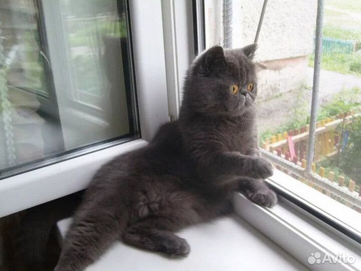 Москитные сетки с установкой на окна пвх