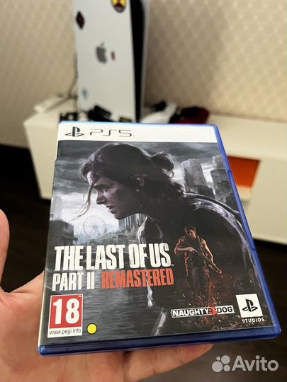 Last of us part 2 remastered
