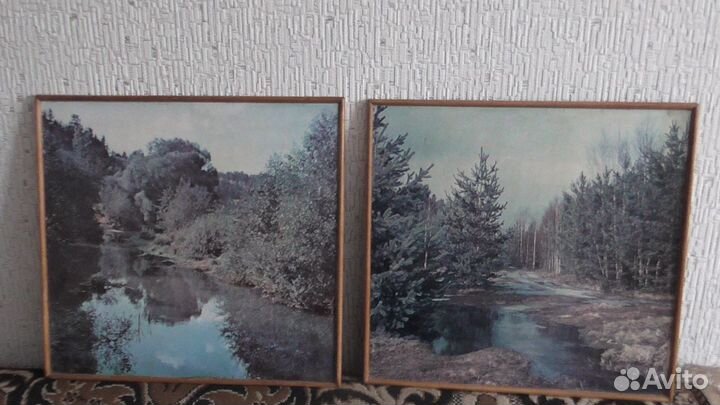 Картины, фото