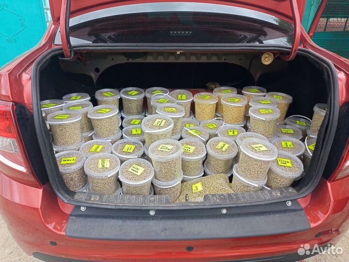 Гранулы для рыбалки